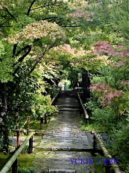 京都16.jpg